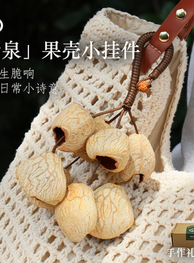 天然果壳摇铃种子包包挂件手工作配饰风铃女生日礼物白噪音疗愈