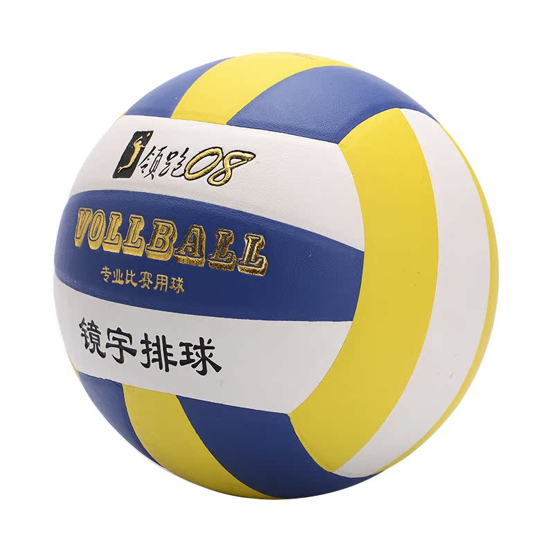 Ballon de volley - Ref 2009737 Image 3