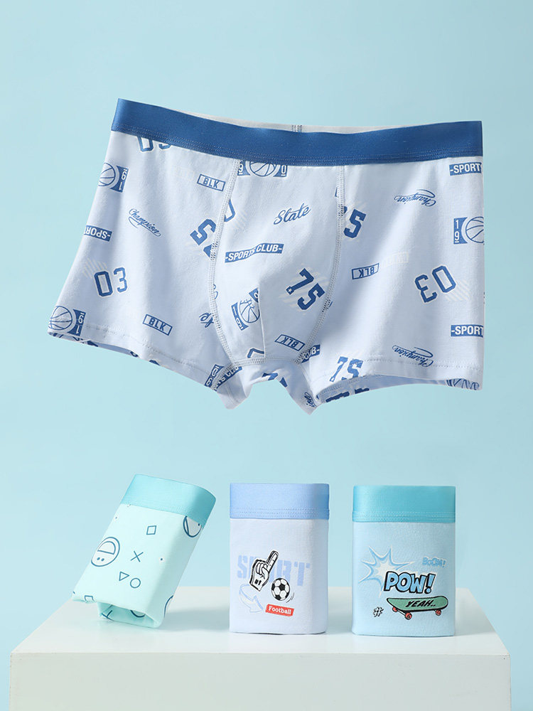 Patterned boxer briefs underwear displayed on a light blue background