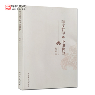 印度哲学与中印佛教 姚卫群著 印度哲学核心理念 中国佛教与印度佛教的关联