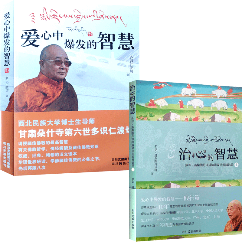 爱心中爆发的智慧 治心的智慧(二册套装)多识仁波切 著 讲授藏传佛教哲学智慧 多识仁波切演讲及问答选录 爱心中爆发的智慧践行篇