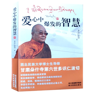 爱心中爆发的智慧 多识仁波切 讲授藏传佛教哲学智慧 藏传佛经解读藏传金刚经妙理剖析 藏传心经密义浅释  佛理精华缘起理赞