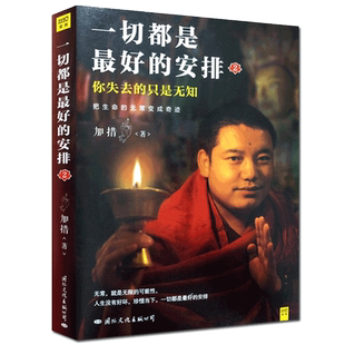 一切都是最好的安排2-把生命的无常变成奇迹 国际文化出版