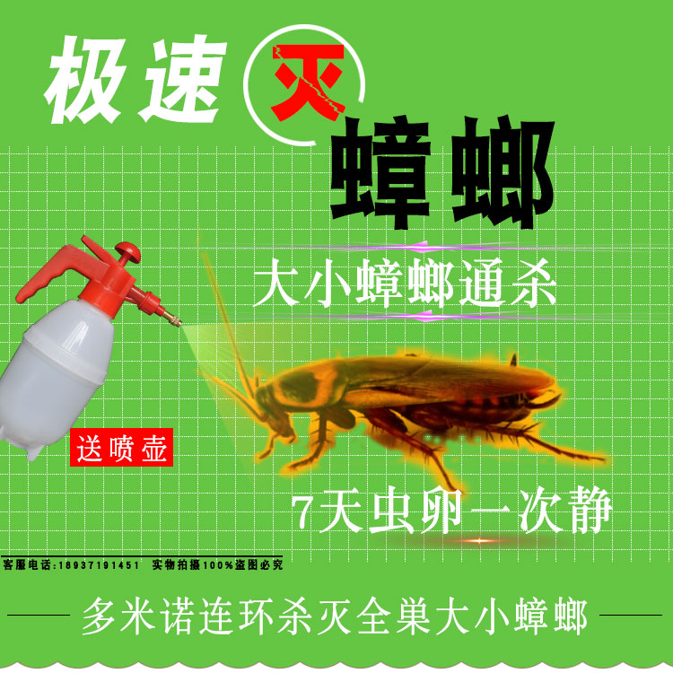 灭小强德国小廉跳蚤药饭店家用