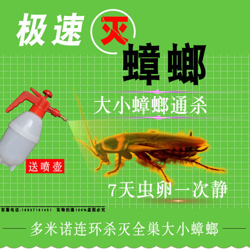 灭小强德国小廉跳蚤药饭店家用