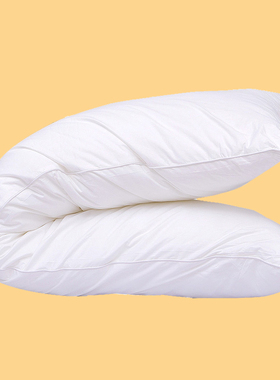 40X120 50x150 50x160 60x180二次元动漫周边等身抱枕枕芯