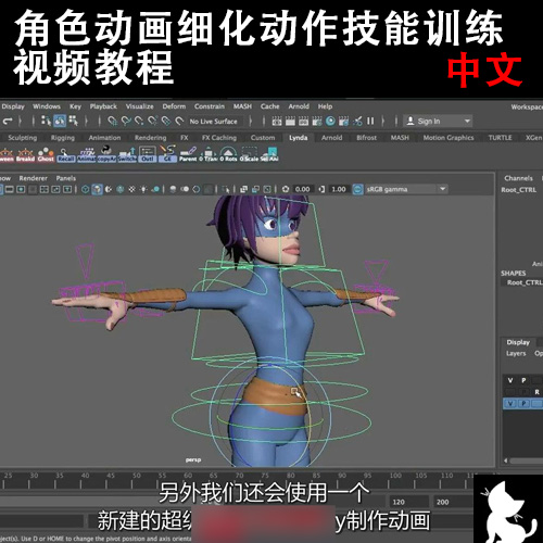 《角色动画细化动作技能训练视频教程》中文字幕教程怎么样,好用不?