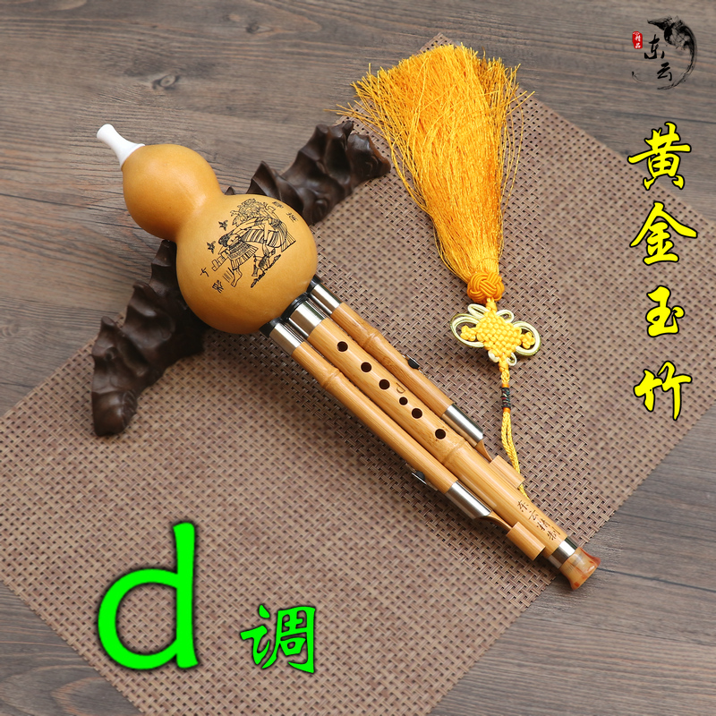 云南东云葫芦丝乐器初学演奏黄金