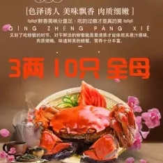江西特产九江鄱阳湖®大闸蟹10大闸蟹