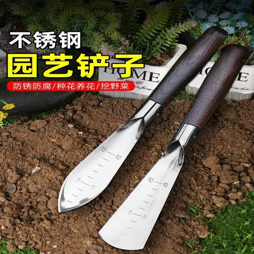 挖野菜户外种植不锈钢木柄多功能
