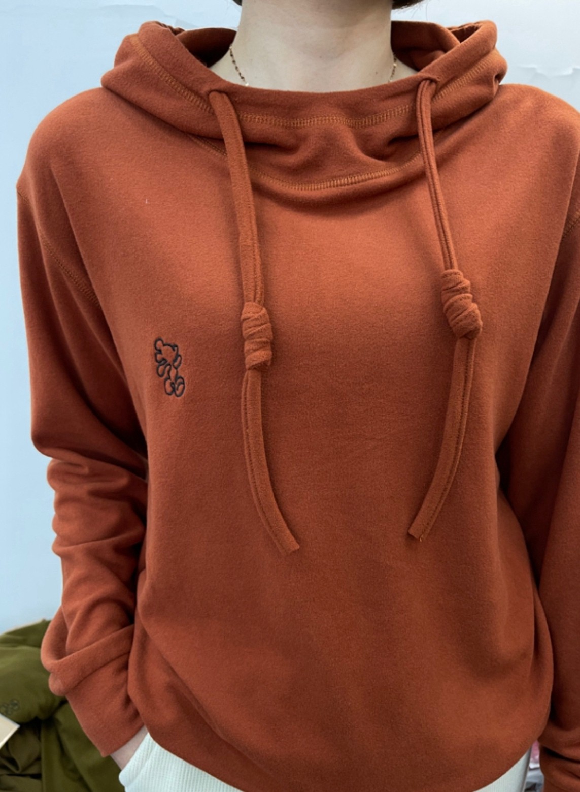 欧洲站2025冬季新款双面德绒内搭卫衣宽松显瘦百搭加厚帽衫  女潮