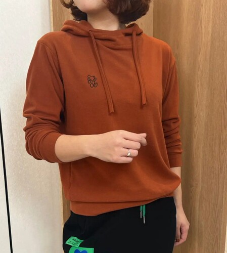 双面德绒内搭卫衣女2025冬装新品百搭神器帽衫加厚保暖连帽打底衫 - 封面