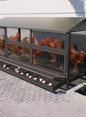 鸡笼子蛋鸡养殖笼室内外大号家用