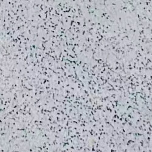 自制微水泥微岩石批刮母料加水泥加水搅拌即可使用