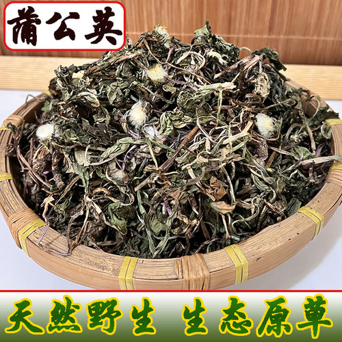 中药材浦公英茶中药材
