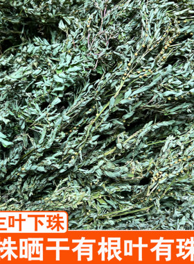 福建叶下珠整珠干品天然野生