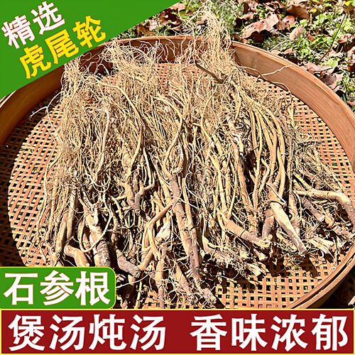 中药材虎尾轮石参根干品炖汤食材