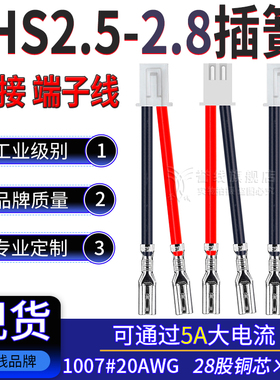 XHS2.5带扣转2.8插簧过5A大电流端子线20AWG开关连接线2/3/4/5/6P