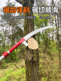园林工具加长杆伸缩高枝锯手锯果树修剪修枝锯高空锯树枝修树锯子