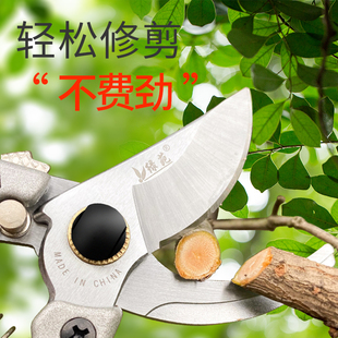 绿苑修枝剪园林果树修枝省力sk5剪刀绿化花卉修枝剪刀粗枝强力剪