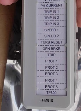 ABB PLC伺服控制模块 TPM810