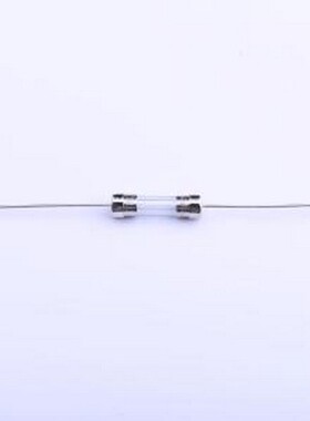 5T.1000212000ZCRG(5) 一次性保险丝 玻璃管保险丝 插件,5.6x21mm
