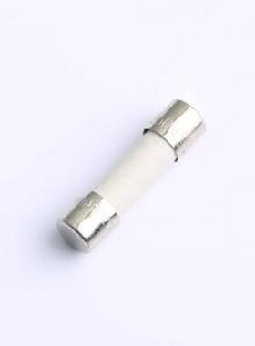 0001.2511 一次性保险丝 保险丝管