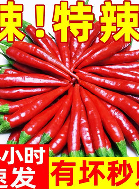 小米辣椒新鲜小米椒朝天红超辣五指天椒特辣蔬菜云南高原特产现摘