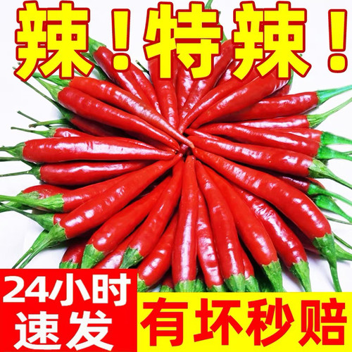 小米辣椒新鲜小米椒朝天红超辣五指天椒特辣蔬菜云南高原特产现摘