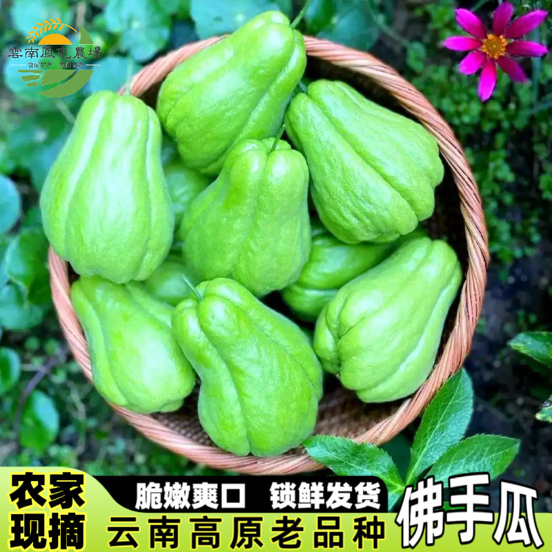 云南佛手瓜新鲜洋瓜丰收瓜福寿瓜洋茄子农家自种当季蔬菜现摘现发