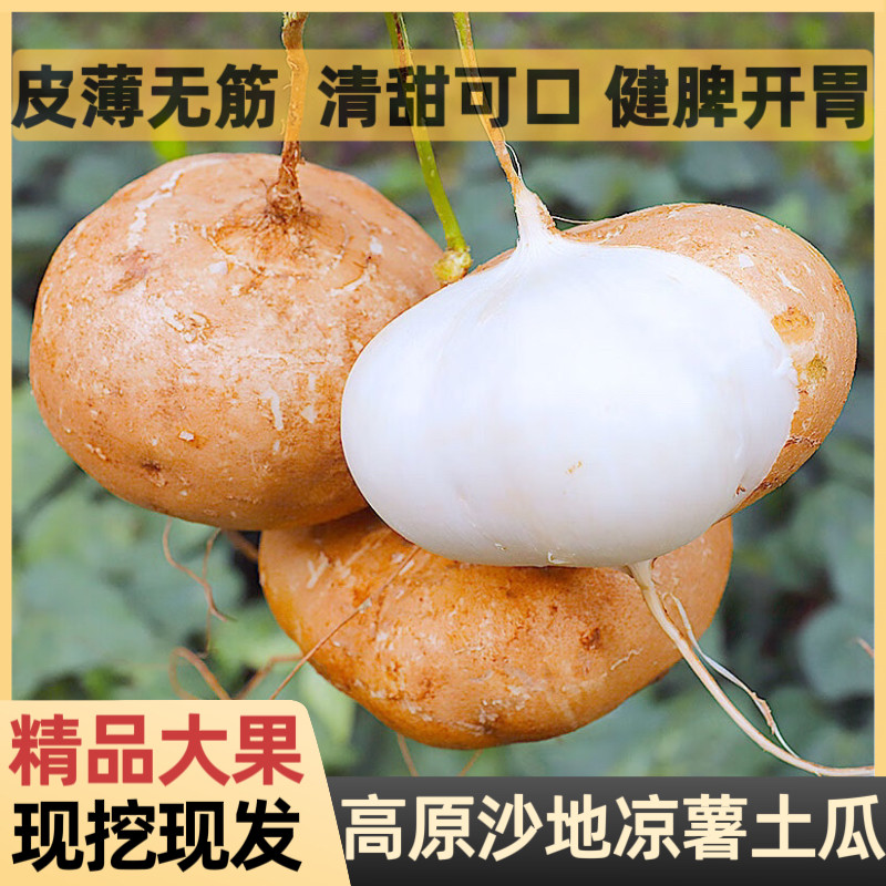 凉薯新鲜现挖地瓜云南甜薯地豆薯农家自种白土番薯沙葛蔬菜水果脆,水产肉类/新鲜蔬果/熟食,番薯,淘宝优惠券,粉丝福利购,淘宝优惠卷