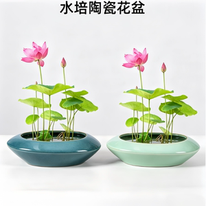 陶瓷简约水培植物花盆