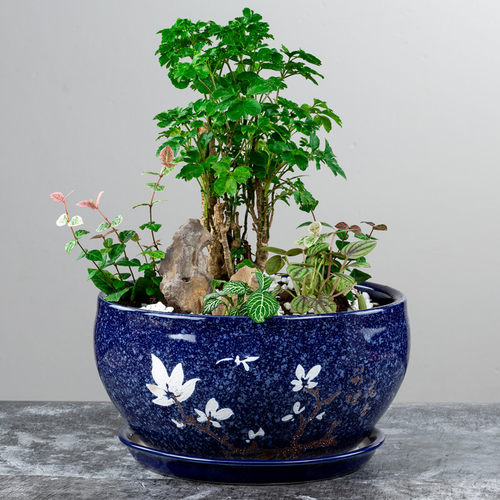 加厚28厘米陶瓷花盆清仓大码创意