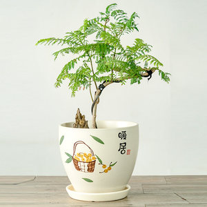 家居神器！新中式带底盘陶瓷花盆