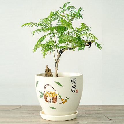 奶油风花盆陶瓷带托盘大号家用室内客厅绿萝君子兰养花专用盆清仓