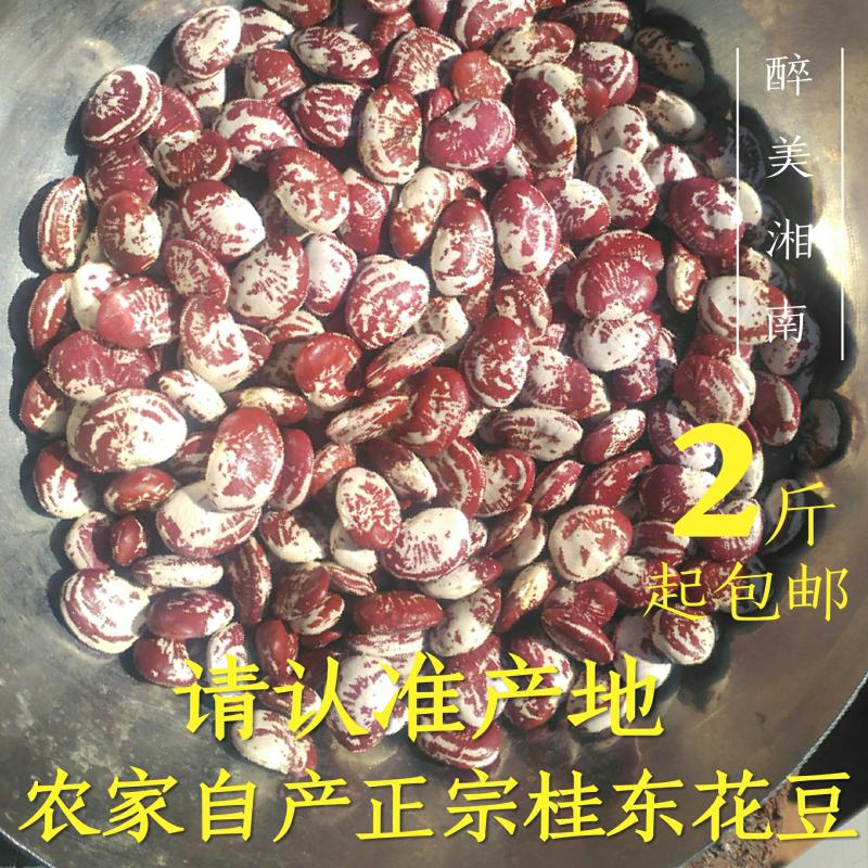 桂东花豆新鲜正宗湖南郴州特产皇帝状元祛湿肾豆农家自产500g干豆