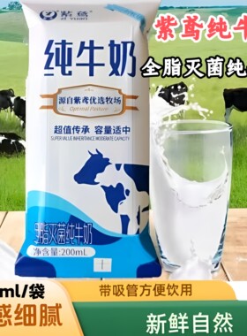 潍坊紫鸢纯牛奶全脂灭菌纯牛乳200毫升*12袋装小枕纯生牛乳易碎品