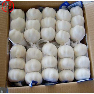 包邮 2025年金乡农家自种白紫皮大蒜山东干蒜头5斤小包装 精美礼盒