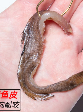 船钓黑头腌制黄鱼皮鱼饵