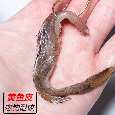 船钓黑头腌制黄鱼皮鱼饵