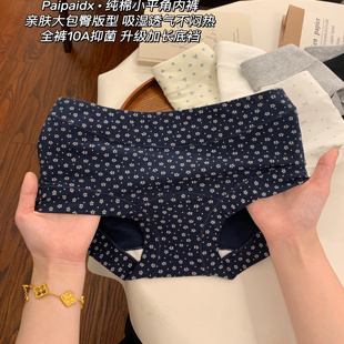 薄款 抗菌裆夏季 胖mm大码 女款 内裤 亲肤女士平角裤 女生纯棉2025新款