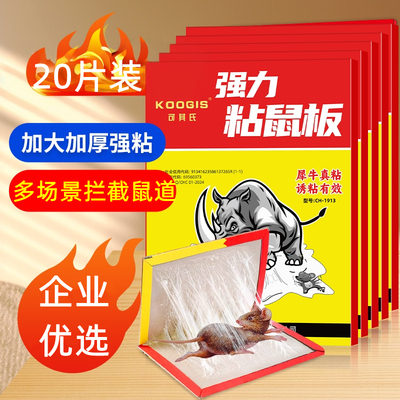 可其氏粘鼠板家用灭鼠强力捕鼠器