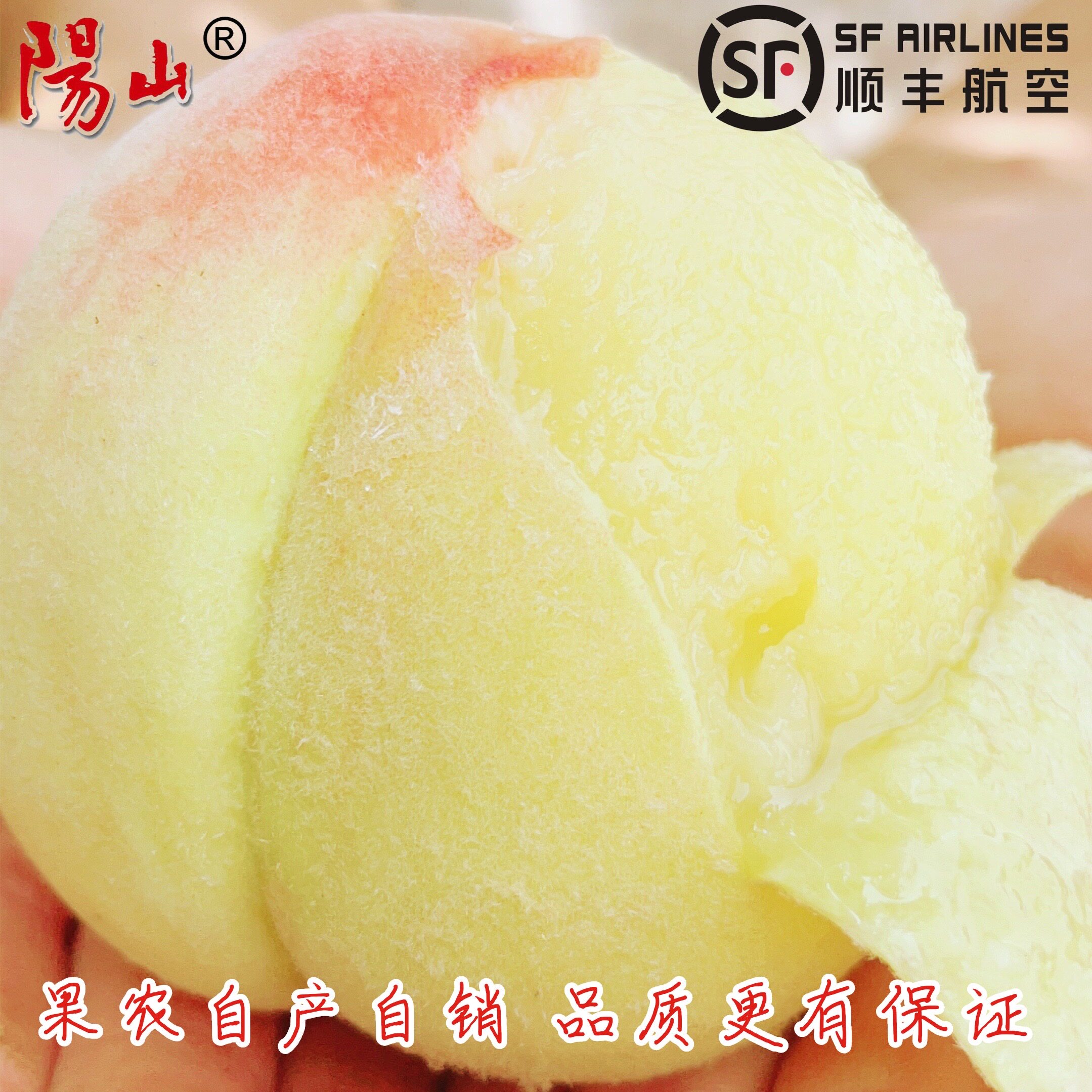 阳山水蜜桃礼盒装食用农产品现摘现发新鲜顺丰空运产地直供