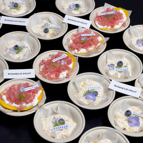 固体杨枝甘露打包盒干噎酸奶碗