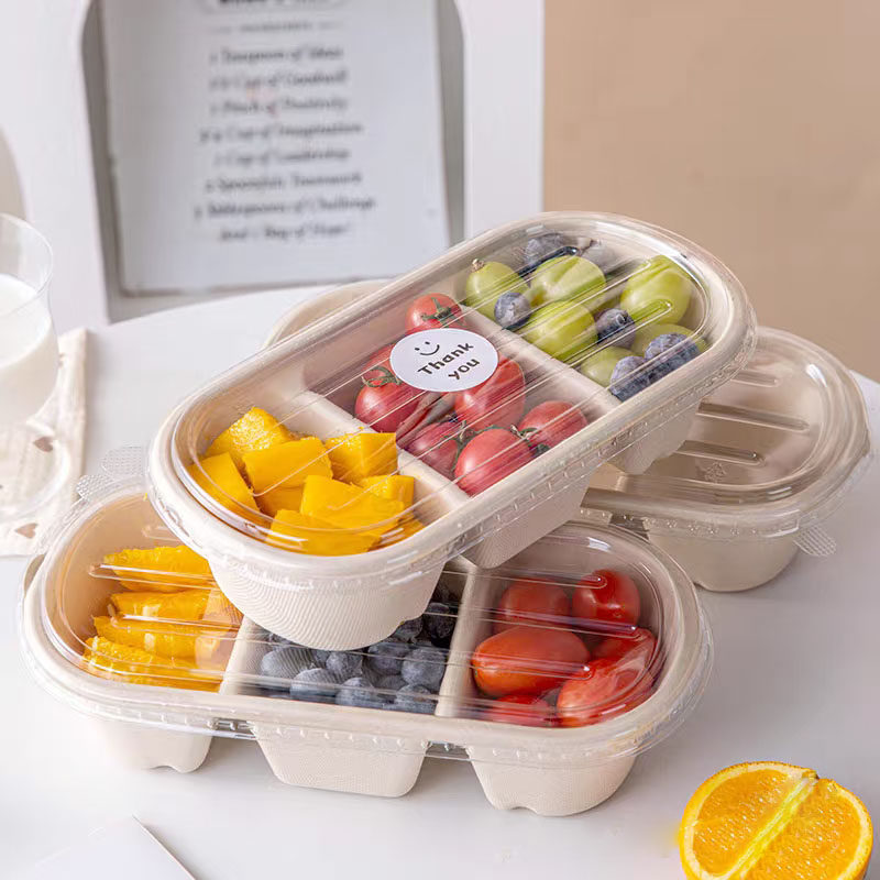 一次性三格椭圆形纸浆长条打包盒