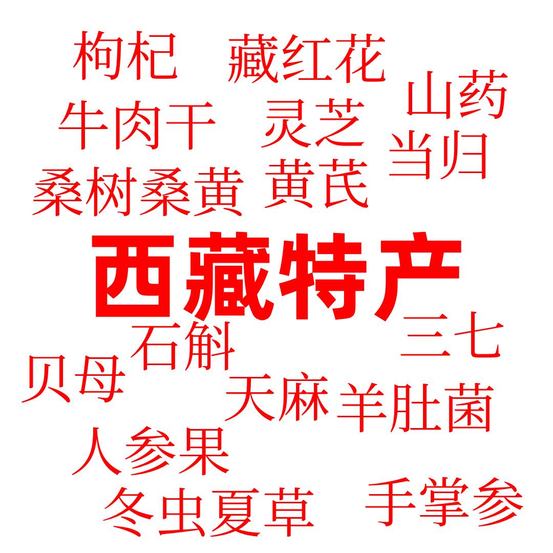 西藏特产药材无优惠线下实体付款拍下结算用的