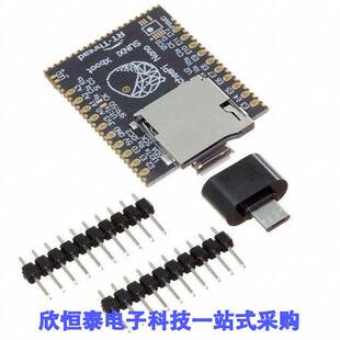 102110199开发板 《 SIPEED LICHEE NANO 16M BRD    》