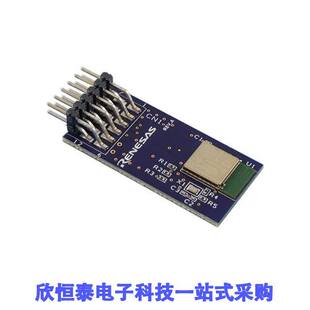 RTKYRLG1D0B00000BJ null Renesas Electronics America