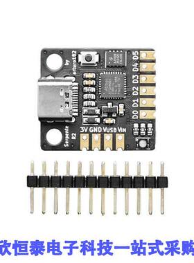 4513开发板 《 SERPENTE CIRCUITPYTHON USBC SO【    》