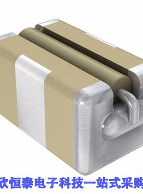 SBSGP5000102MXT滤波器 《 SURFACE MOUNT C AND PI FILTER    》